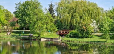 Městský park s jezírkem v Kališi