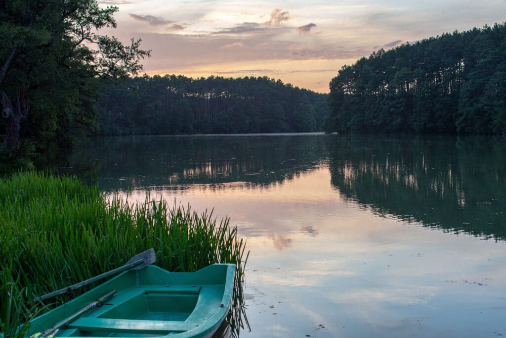 Krajina sta jezer - Notečský prales