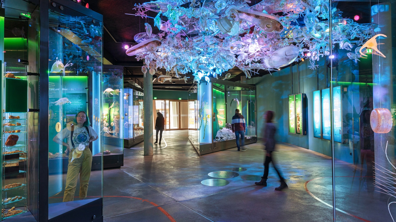 V expozici věnované Baltskému moři se nad hlavami návštěvníků vznáší prostorová instalace znázorňující hejno planktonu (Oceáneum)