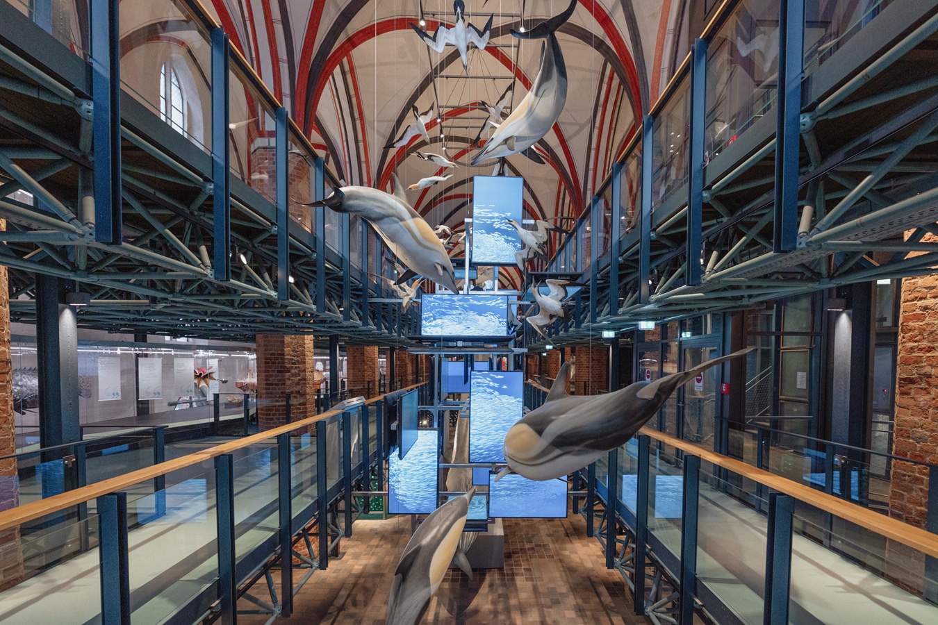 Instalace zachycující hon delfínů a terejů na hejno sardinek v historické budově Německého mořského muzea