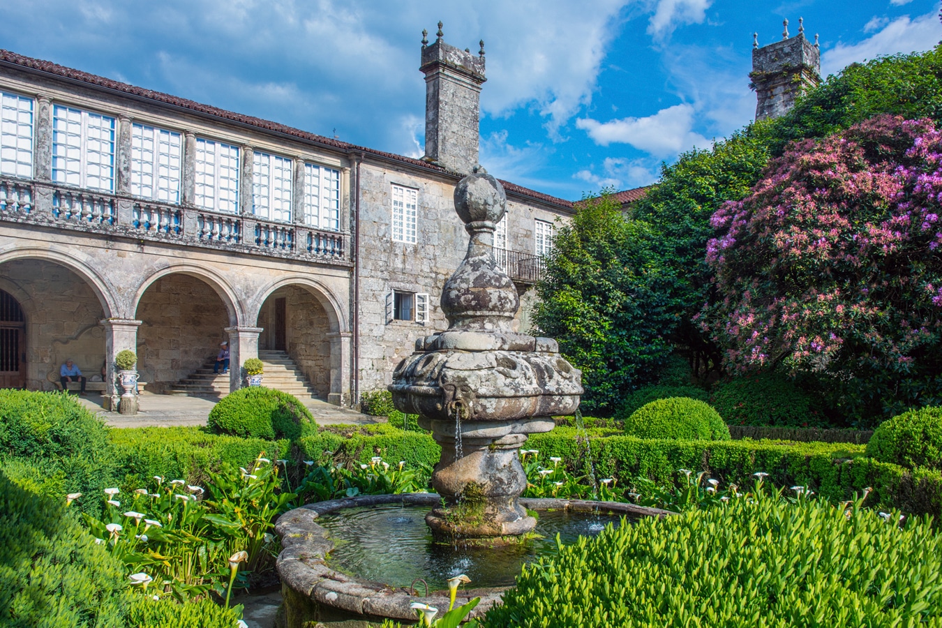 Kamélie v zámečku Pazo de Oca