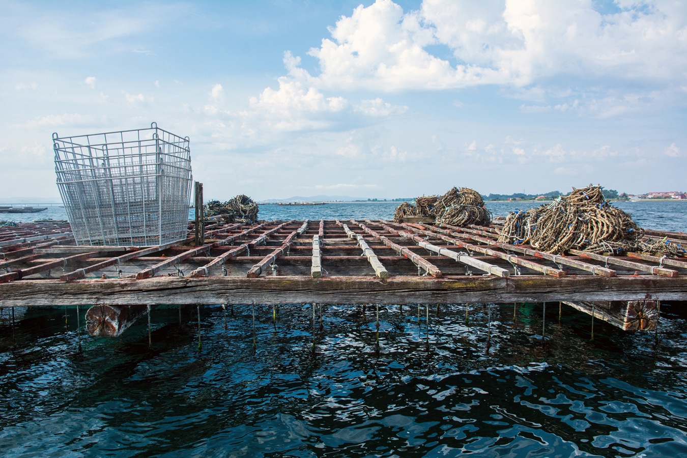 Plovoucí plošina pro chov slávek