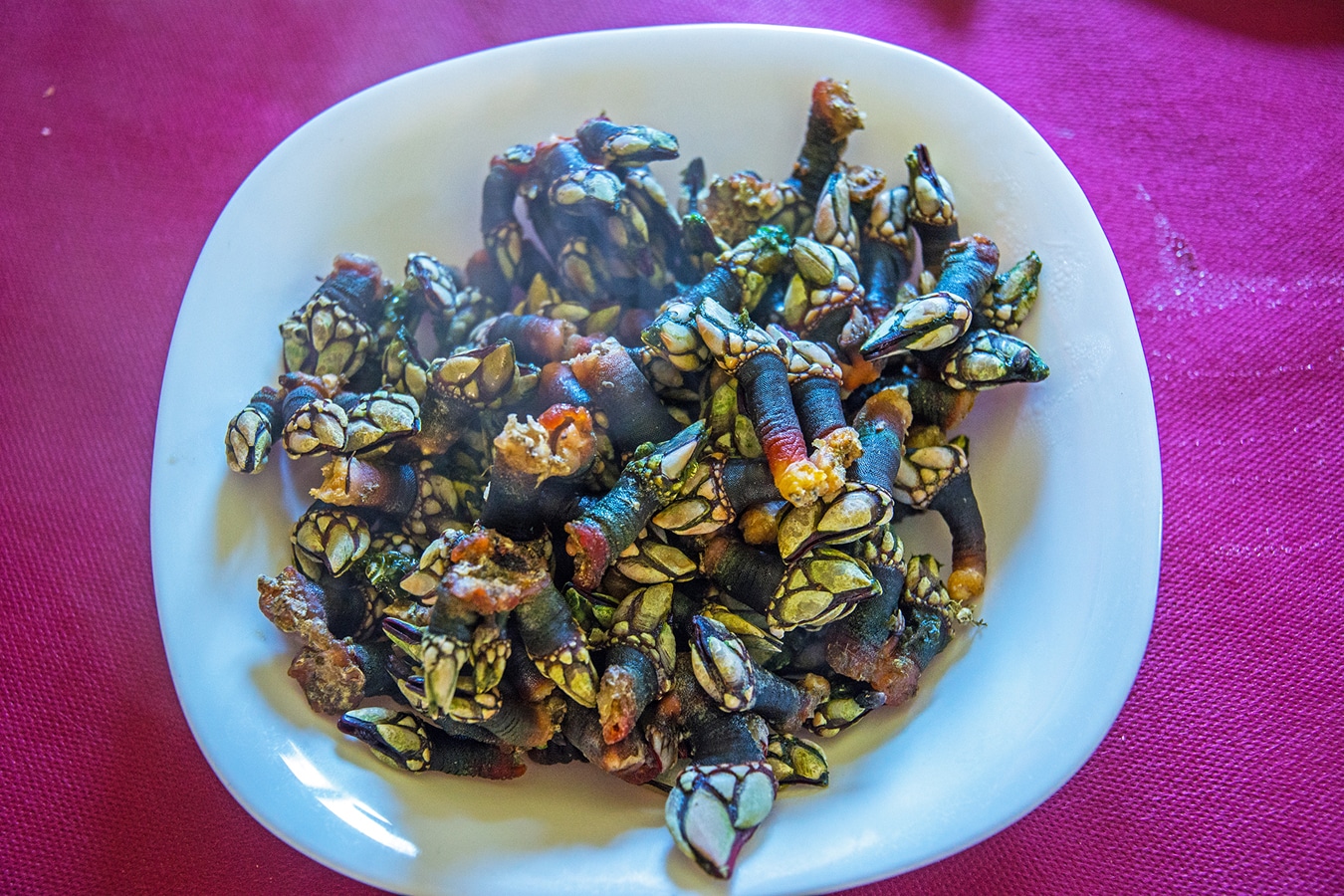 Galicijská kuchyně - čerstvě uvaření vilejši