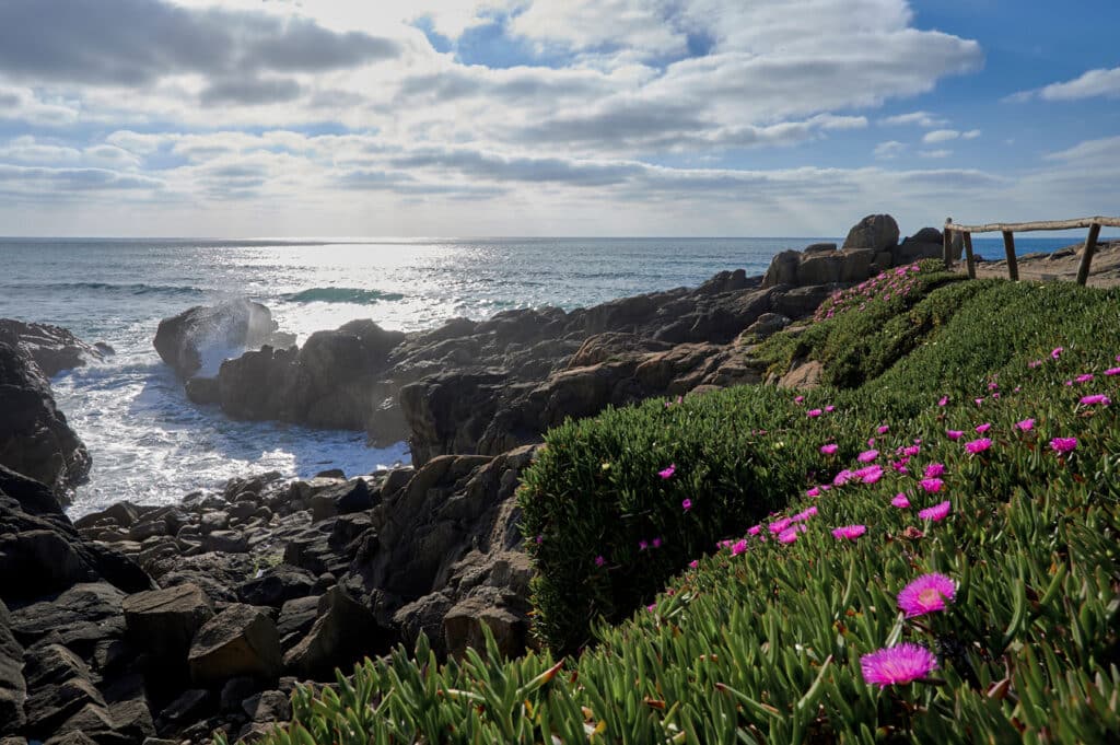 Skalnaté pobřeží Portugalska u Labruge
