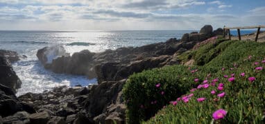 Skalnaté pobřeží Portugalska u Labruge