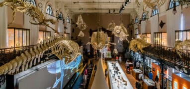 Muzejní expozice Oceánografického muzea v Monaco-Ville