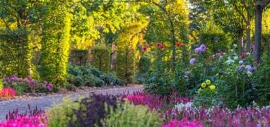 Pabianice - botanická zahrada Aflopark