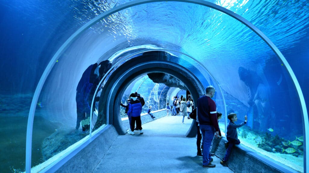 26 m dlouhý tunel vedoucí hlavní oceánskou nádrží v Orientariu lodžské zoo